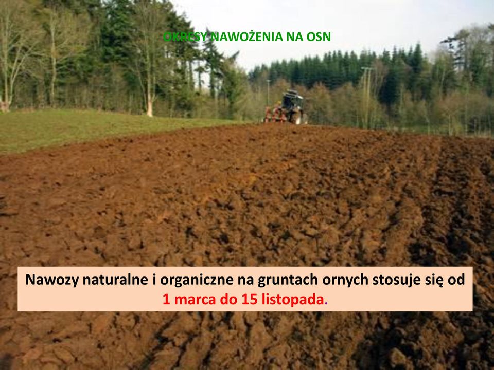 organiczne na gruntach