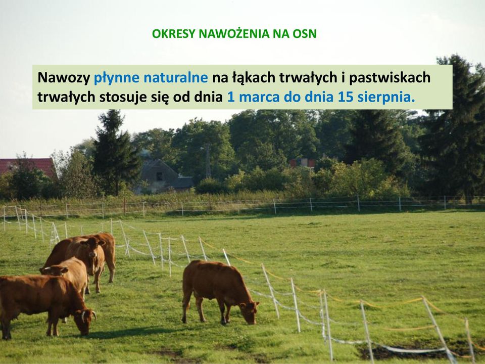 trwałych i pastwiskach trwałych