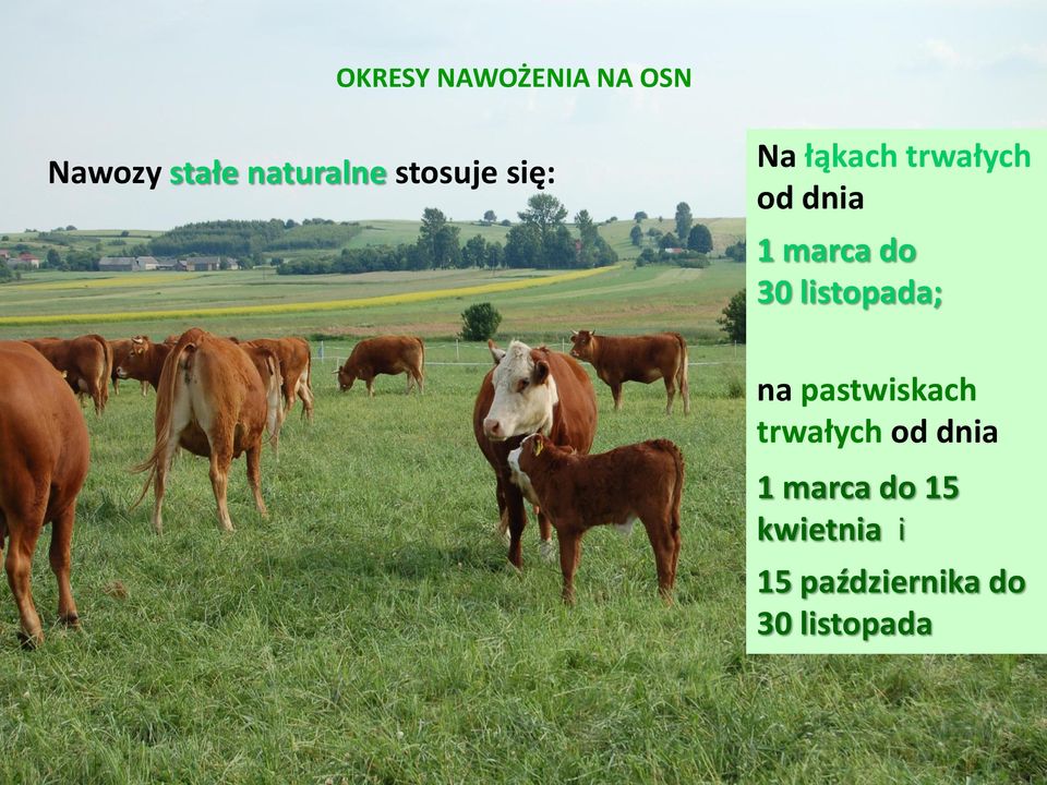 do 30 listopada; na pastwiskach trwałych od dnia 1
