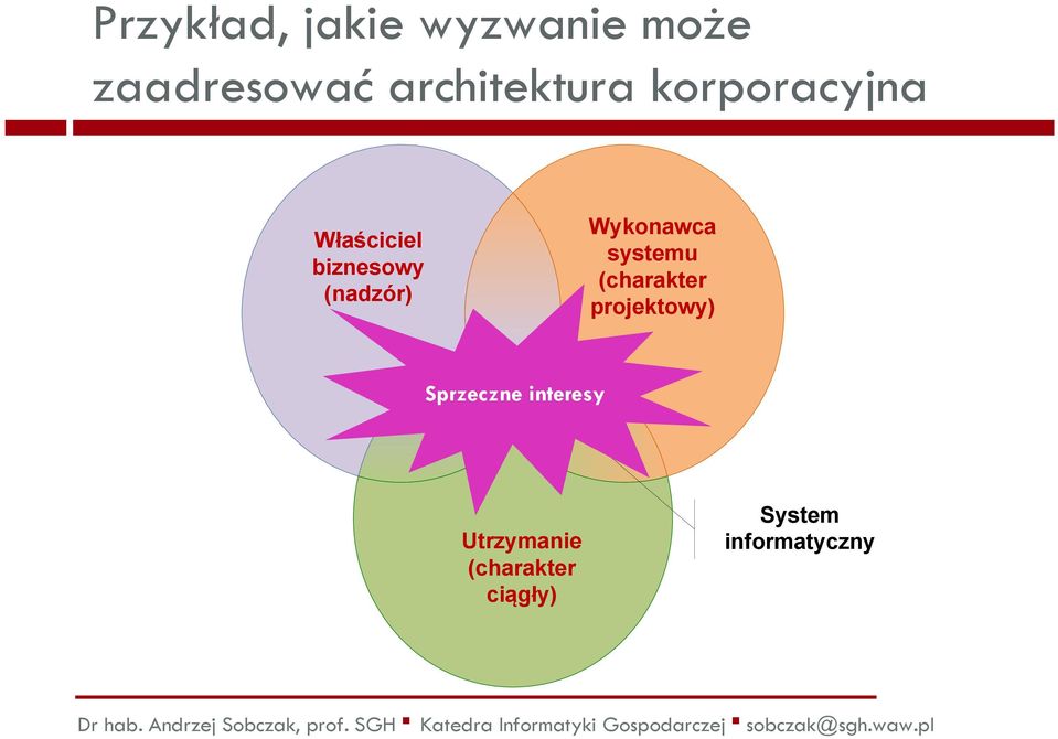 biznesowy (nadzór) Wykonawca systemu (charakter