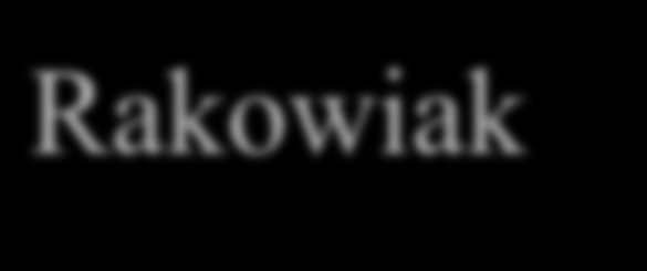 Rakowiak Guz neuroendokrynny rozwijający się w narządach pochodzących ze środkowej części pierwotnej cewy jelitowej (prajelita) - Części przedniej (foregut) grasica, oskrzela, płuca, żołądek, górna