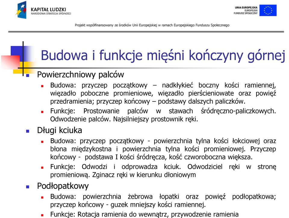 Długi kciuka Budowa: przyczep początkowy - powierzchnia tylna kości łokciowej oraz błona międzykostna i powierzchnia tylna kości promieniowej.