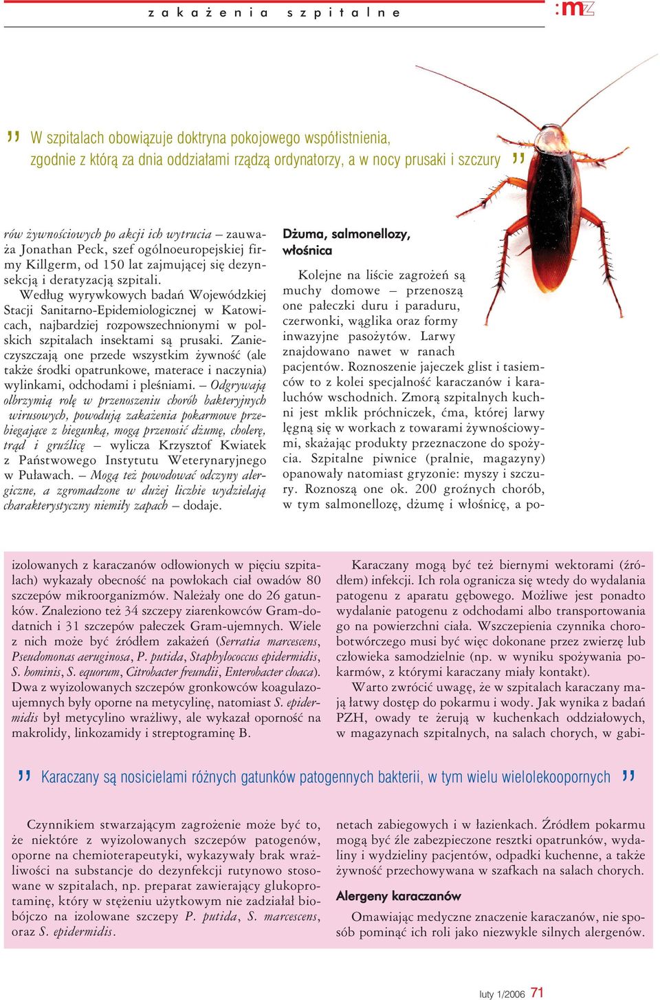 Według wyrywkowych badań Wojewódzkiej Stacji Sanitarno-Epidemiologicznej w Katowicach, najbardziej rozpowszechnionymi w polskich szpitalach insektami są prusaki.
