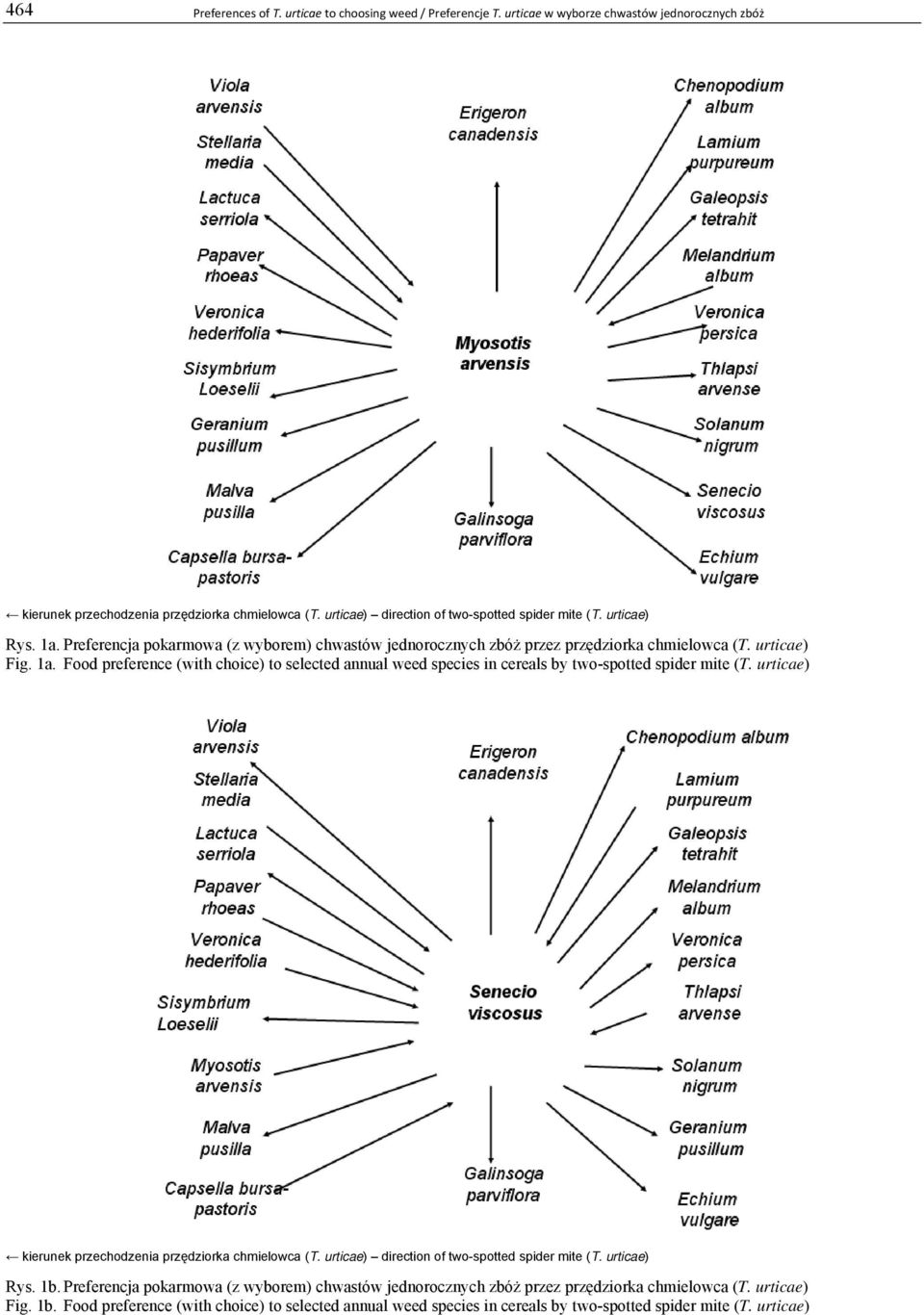 Food preference (with choice) to selected annual weed species in cereals by two-spotted spider mite (T. urticae) Rys. 1b.