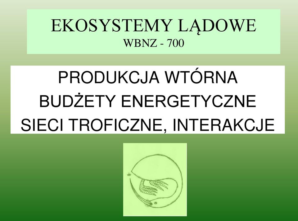 BUDŻETY ENERGETYCZNE