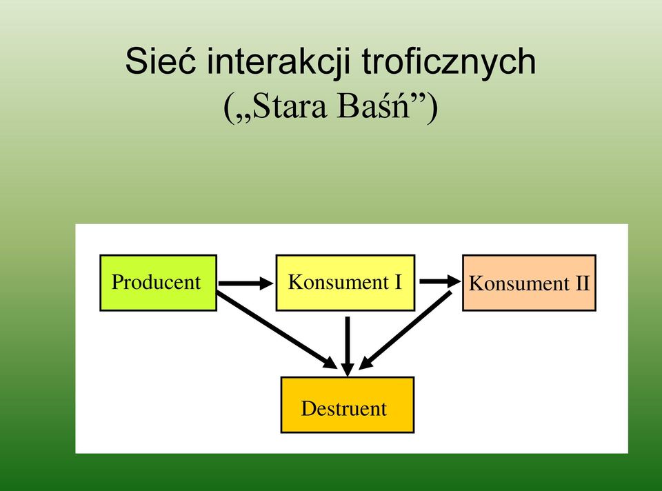 Baśń ) Producent