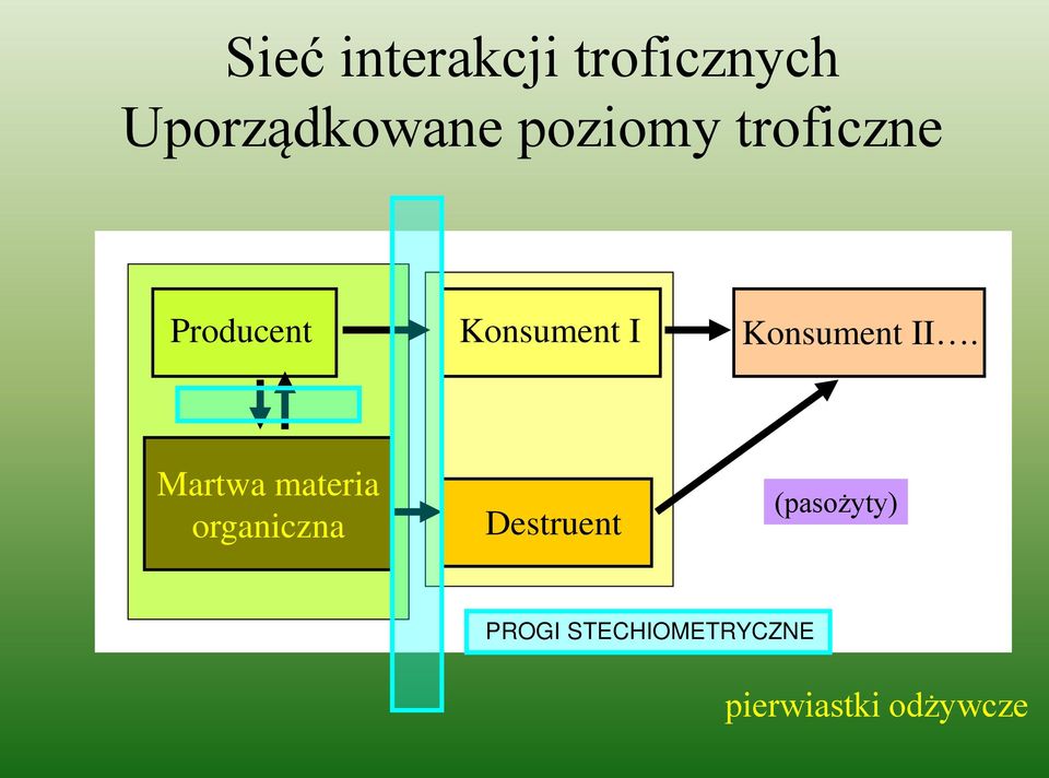 Konsument II.