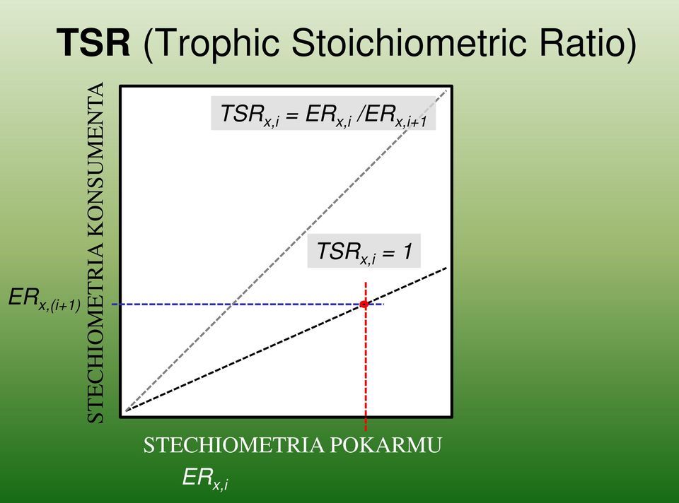 KONSUMENTA TSR x,i = ER x,i /ER