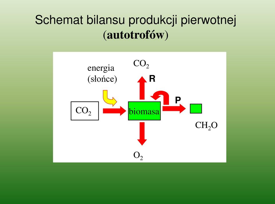 (autotrofów) CO 2