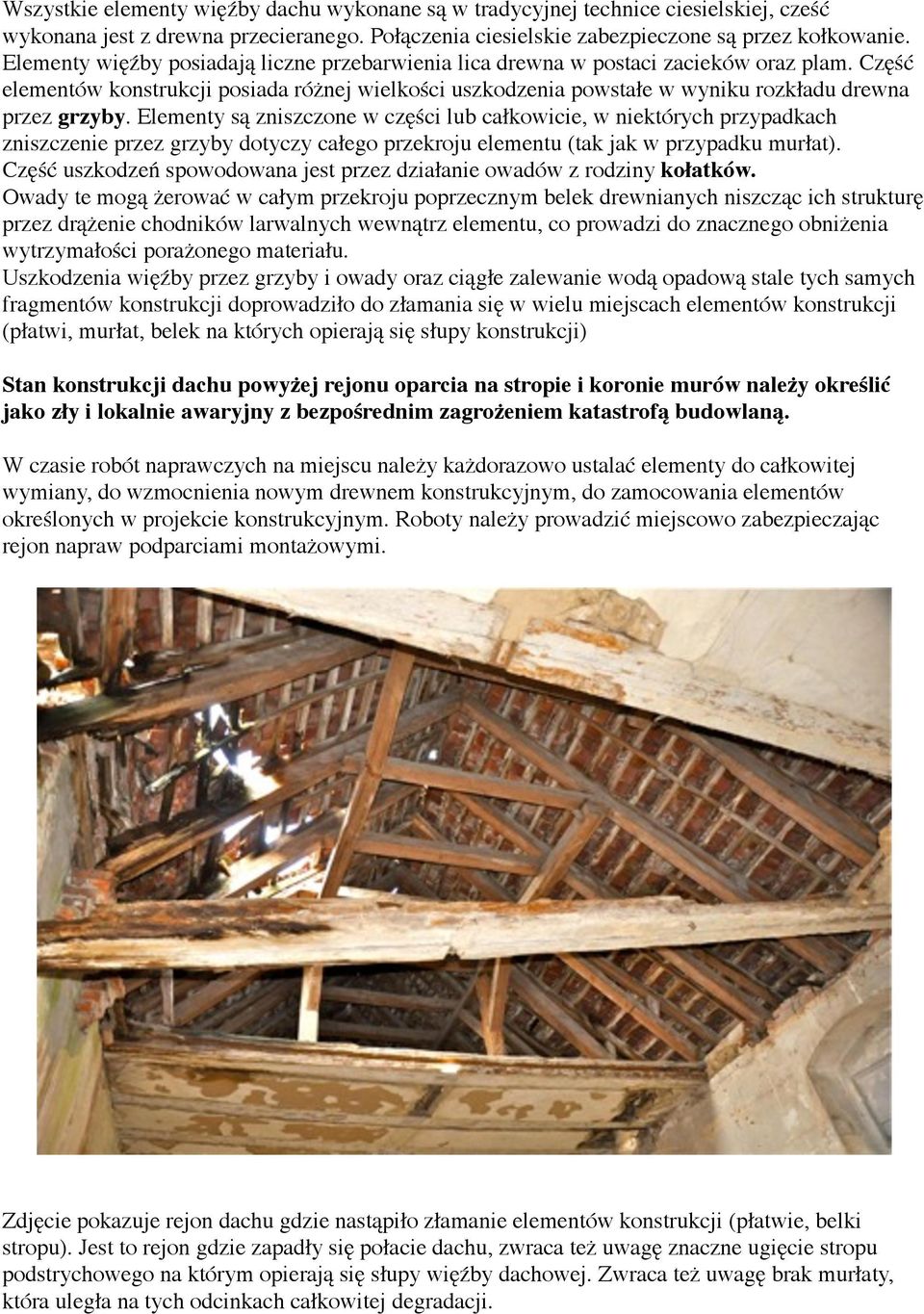 Część elementów konstrukcji posiada różnej wielkości uszkodzenia powstałe w wyniku rozkładu drewna przez grzyby.