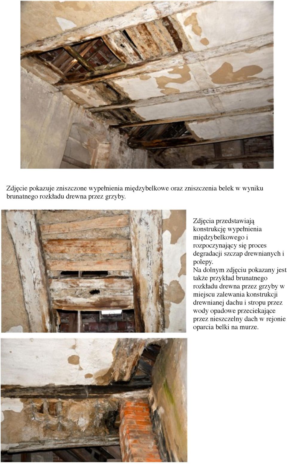 Zdjęcia przedstawiają konstrukcję wypełnienia międzybelkowego i rozpoczynający się proces degradacji szczap drewnianych i