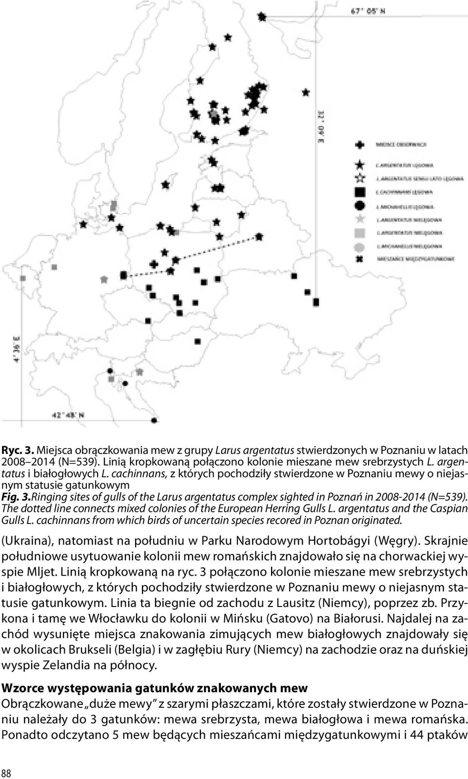 Ringing sites of gulls of the Larus argentatus complex sighted in Poznań in 2008-2014 (N=539). The dotted line connects mixed colonies of the European Herring Gulls L.