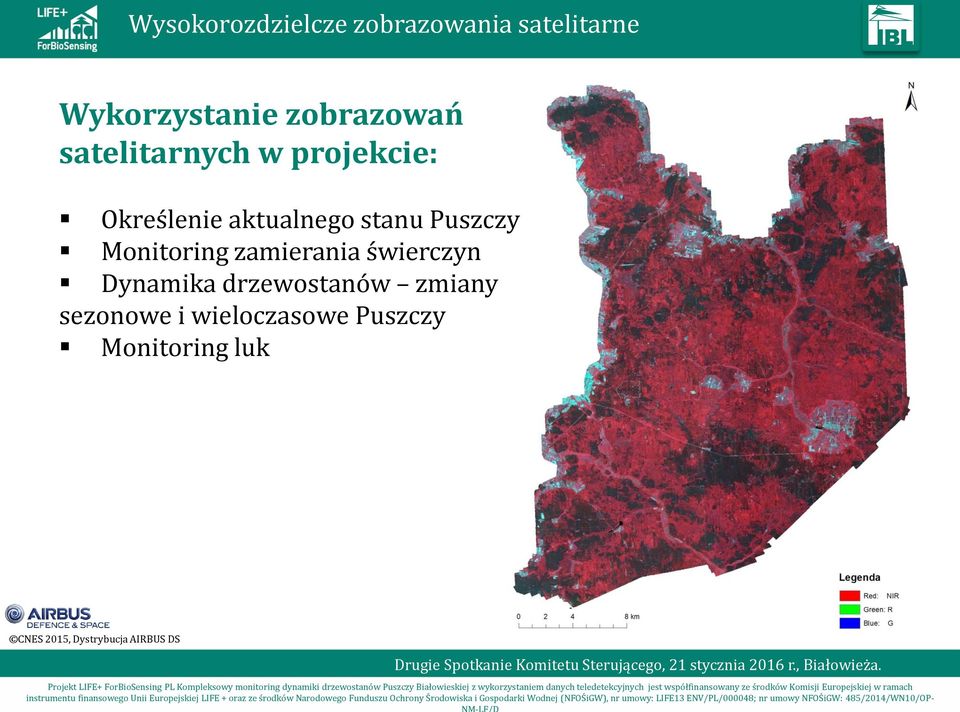 Monitoring zamierania świerczyn Dynamika drzewostanów zmiany