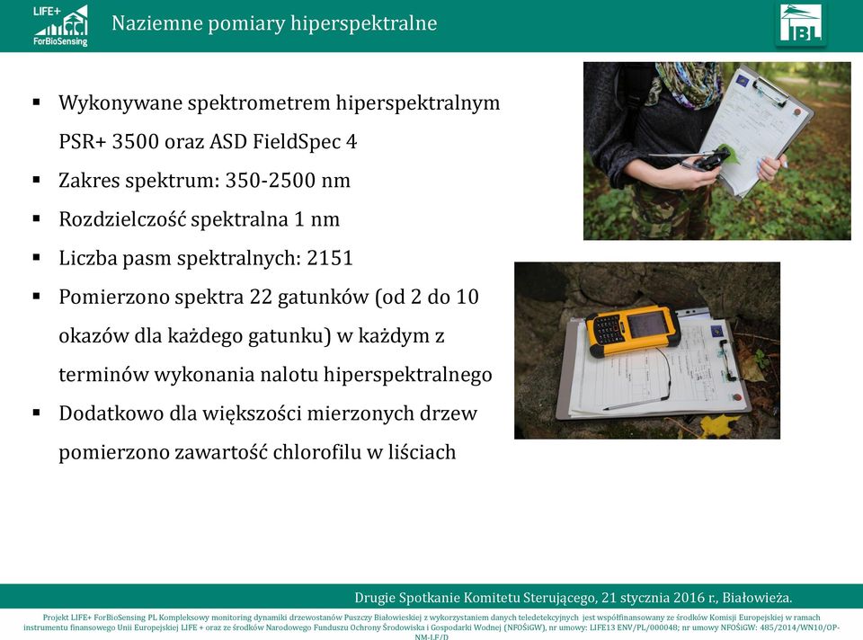 Pomierzono spektra 22 gatunków (od 2 do 10 okazów dla każdego gatunku) w każdym z terminów wykonania