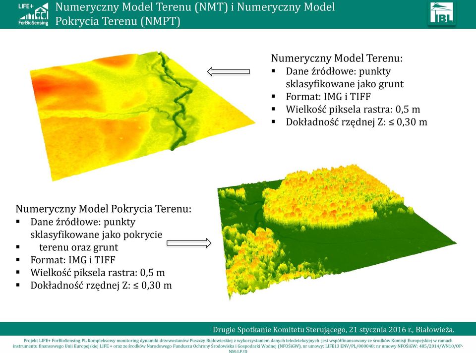 Dokładność rzędnej Z: 0,30 m Numeryczny Model Pokrycia Terenu: Dane źródłowe: punkty sklasyfikowane