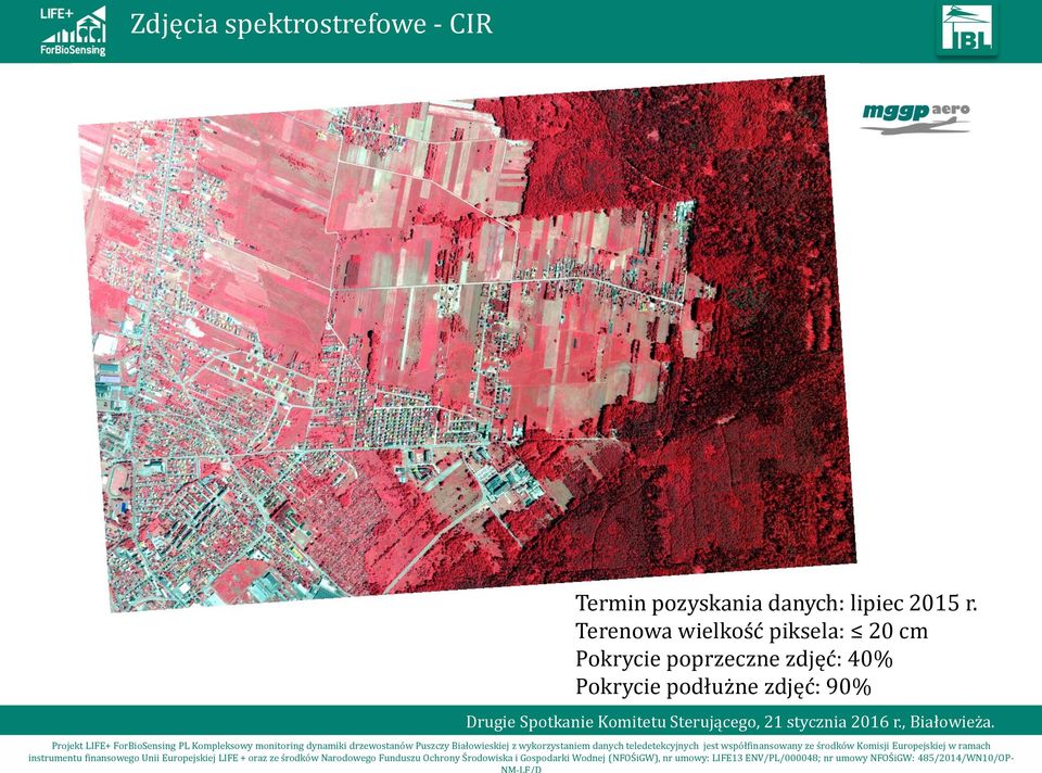 Terenowa wielkość piksela: 20 cm