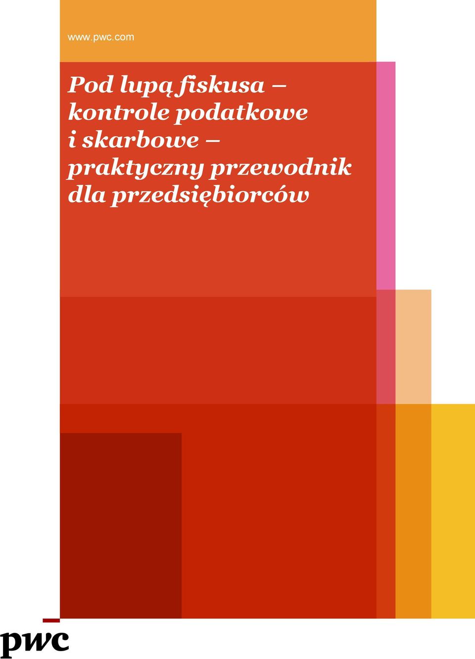 kontrole podatkowe i