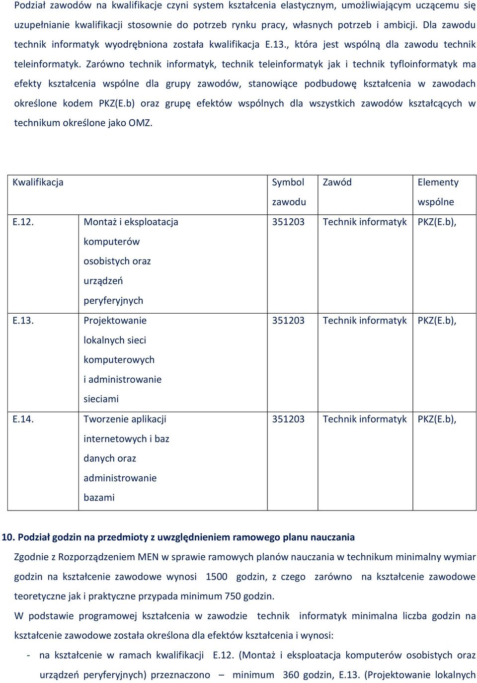 Zarówno technik informatyk, technik teleinformatyk jak i technik tyfloinformatyk ma efekty kształcenia wspólne dla grupy zawodów, stanowiące podbudowę kształcenia w zawodach określone kodem KZ(E.