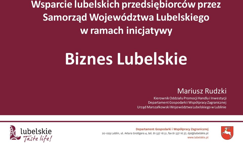 Kierownik Oddziału Promocji Handlu i Inwestycji Departament