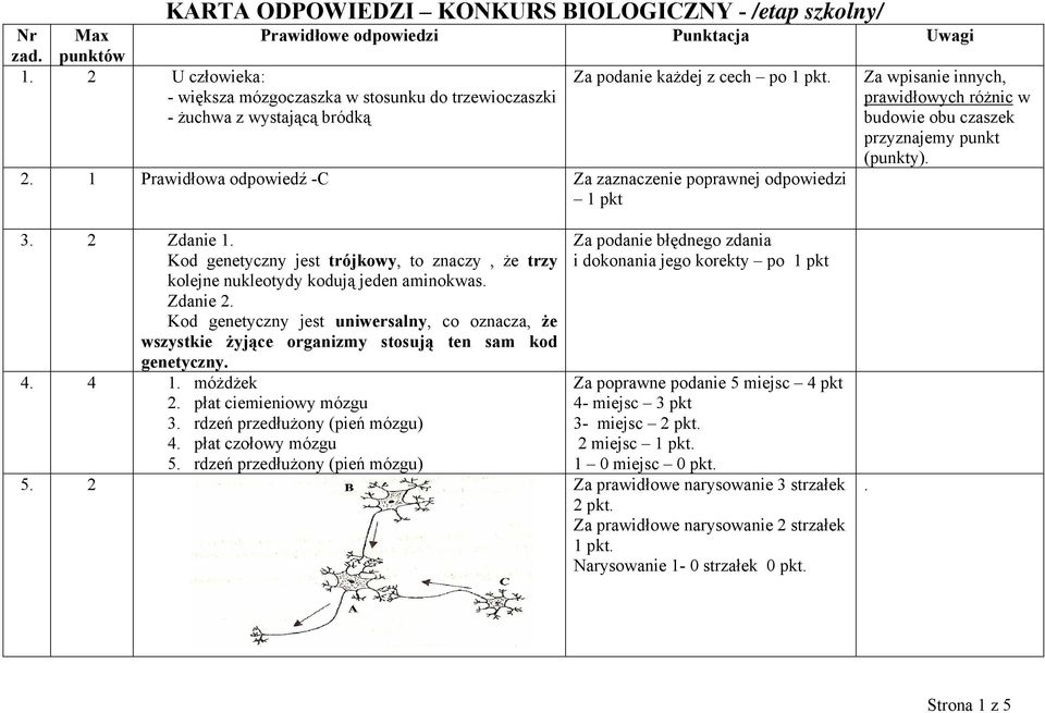 1 Prawidłowa odpowiedź -C Za zaznaczenie poprawnej odpowiedzi Za wpisanie innych, prawidłowych różnic w budowie obu czaszek przyznajemy punkt (punkty). 3. 2 Zdanie 1.