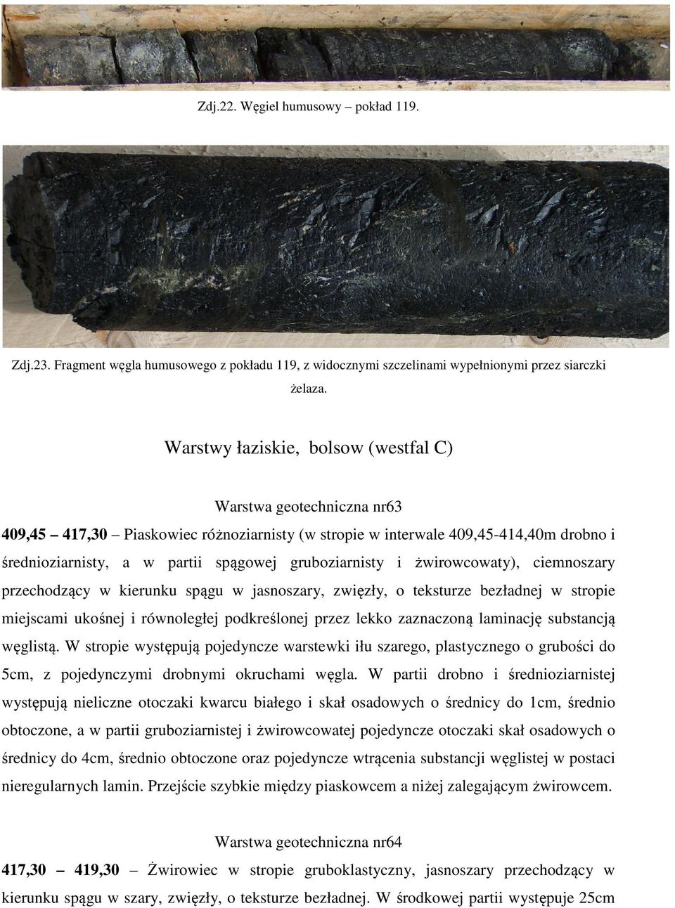 gruboziarnisty i żwirowcowaty), ciemnoszary przechodzący w kierunku spągu w jasnoszary, zwięzły, o teksturze bezładnej w stropie miejscami ukośnej i równoległej podkreślonej przez lekko zaznaczoną