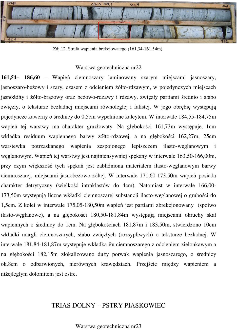 żółto-brązowy oraz beżowo-rdzawy i rdzawy, zwięzły partiami średnio i słabo zwięzły, o teksturze bezładnej miejscami równoległej i falistej.