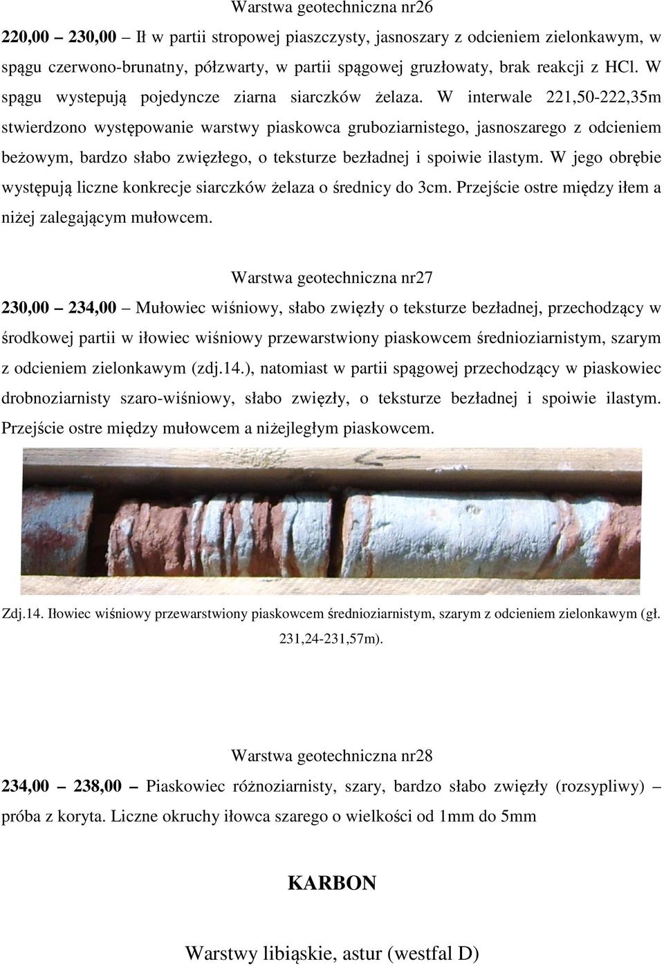 W interwale 221,50-222,35m stwierdzono występowanie warstwy piaskowca gruboziarnistego, jasnoszarego z odcieniem beżowym, bardzo słabo zwięzłego, o teksturze bezładnej i spoiwie ilastym.