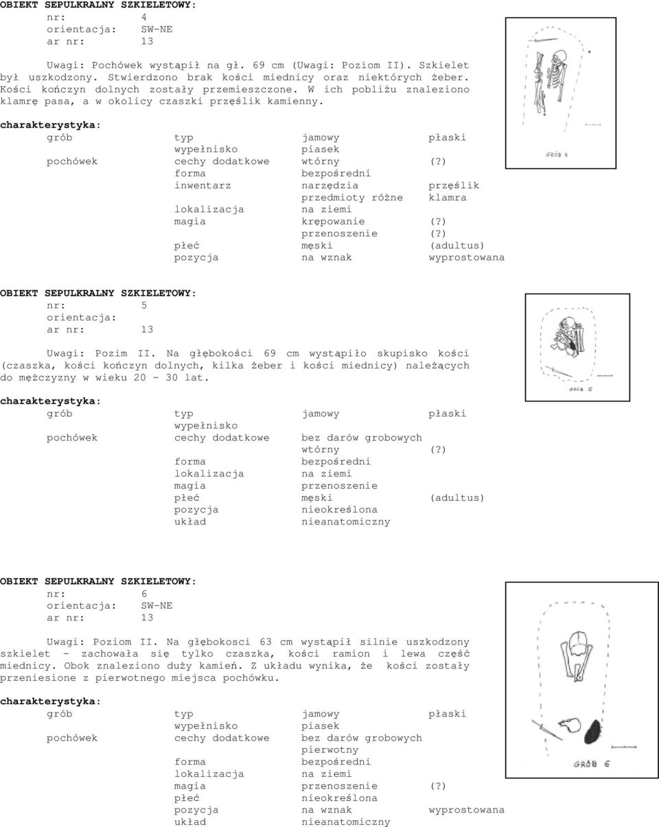 ) męski (adultus) nr: 5 orientacja: ar nr: 13 Uwagi: Pozim II.