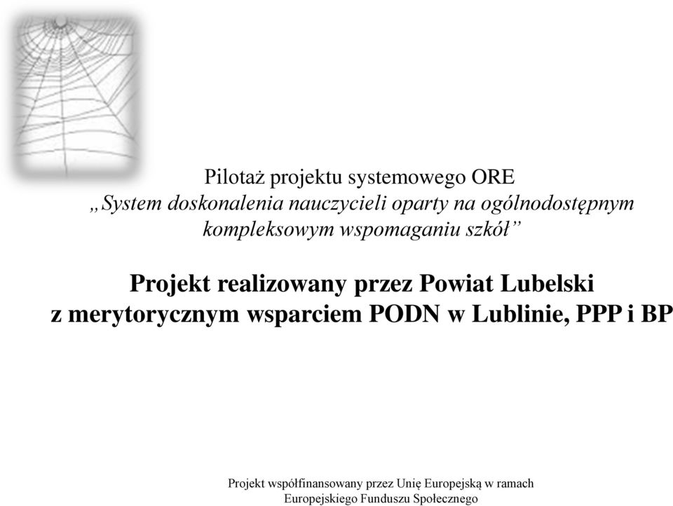 Powiat Lubelski z merytorycznym wsparciem PODN w Lublinie, PPP i BP Projekt