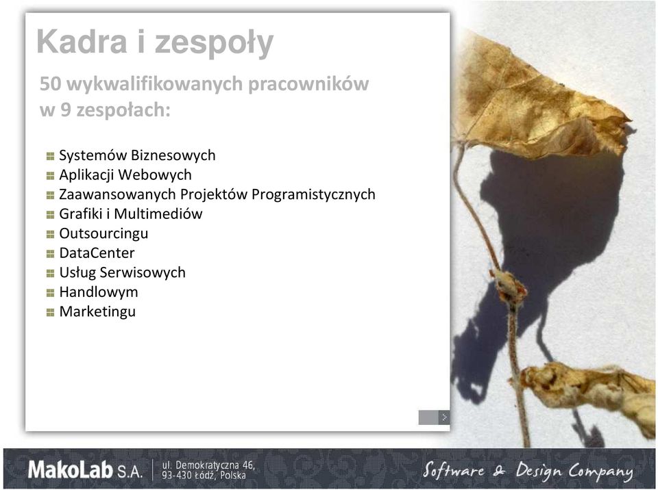Zaawansowanych Projektów Programistycznych Grafiki i