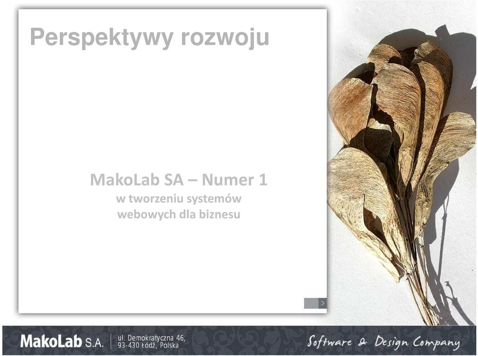 w tworzeniu systemów
