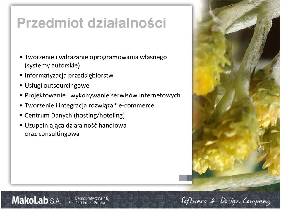 wykonywanie serwisów Internetowych Tworzenie i integracja rozwiązań e-commerce