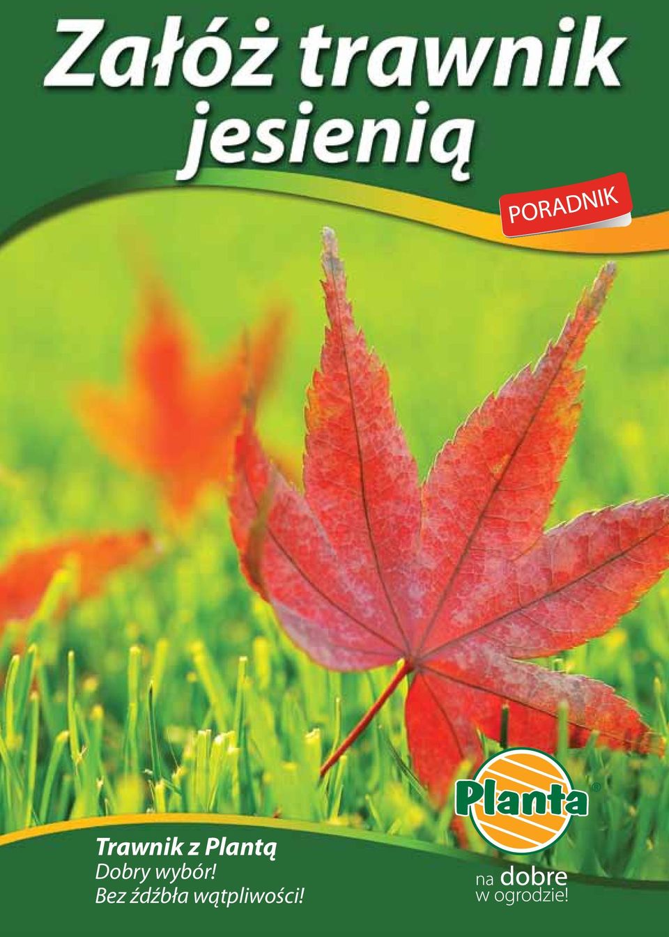 Bez źdźbła