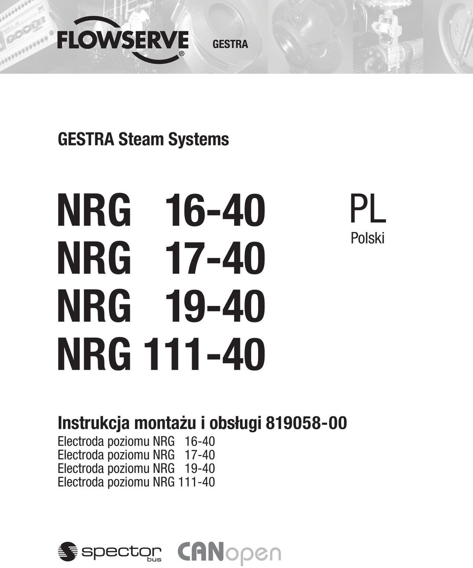 Electroda poziomu NRG 16-40 Electroda poziomu NRG 17-40