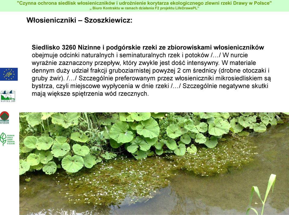 W materiale dennym duży udział frakcji gruboziarnistej powyżej 2 cm średnicy (drobne otoczaki i gruby żwir).
