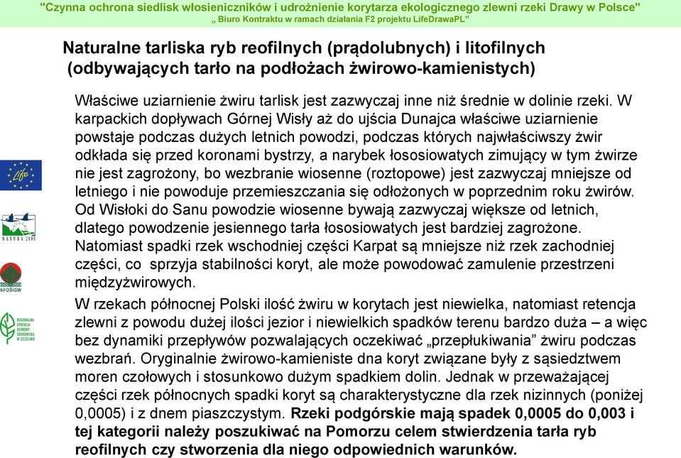 łososiowatych zimujący w tym żwirze nie jest zagrożony, bo wezbranie wiosenne (roztopowe) jest zazwyczaj mniejsze od letniego i nie powoduje przemieszczania się odłożonych w poprzednim roku żwirów.
