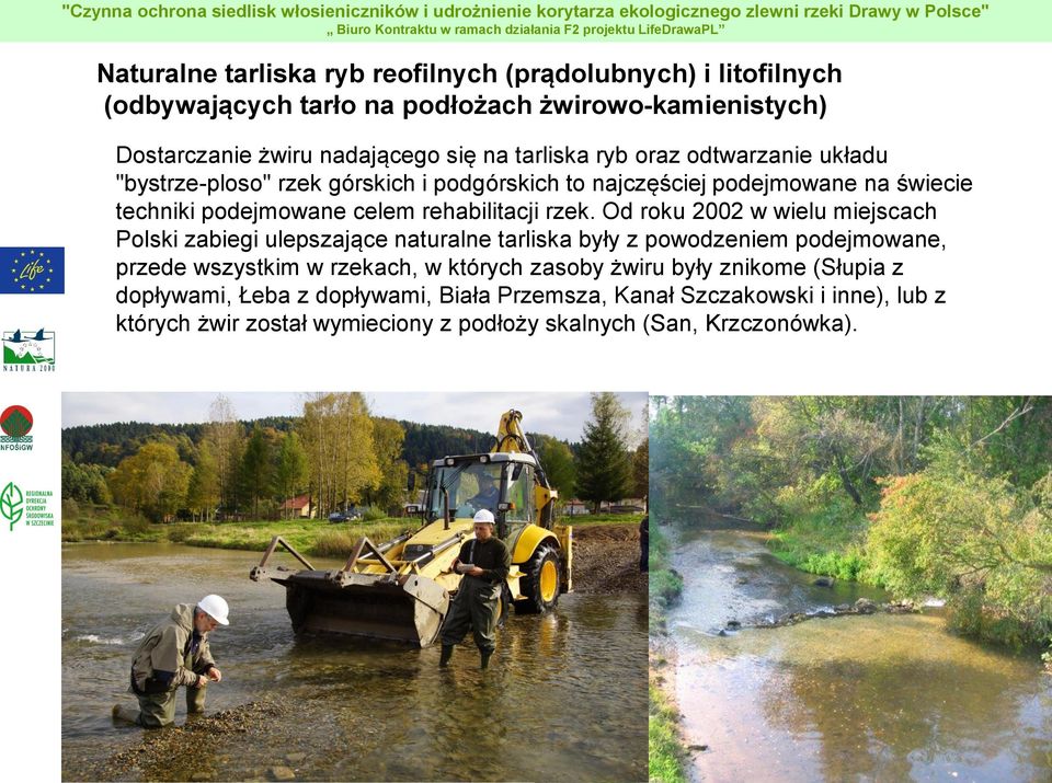 Od roku 2002 w wielu miejscach Polski zabiegi ulepszające naturalne tarliska były z powodzeniem podejmowane, przede wszystkim w