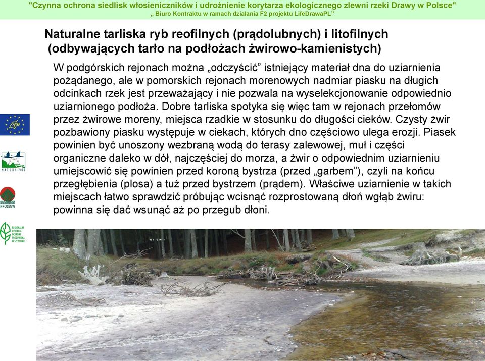 Czysty żwir pozbawiony piasku występuje w ciekach, których dno częściowo ulega erozji.