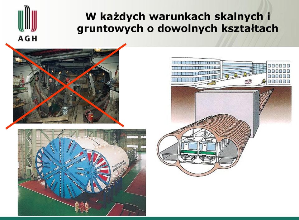 skalnych i
