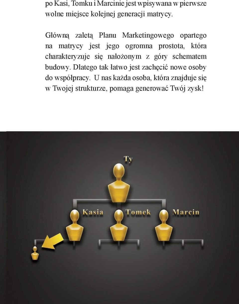 charakteryzuje się nałożonym z góry schematem budowy.