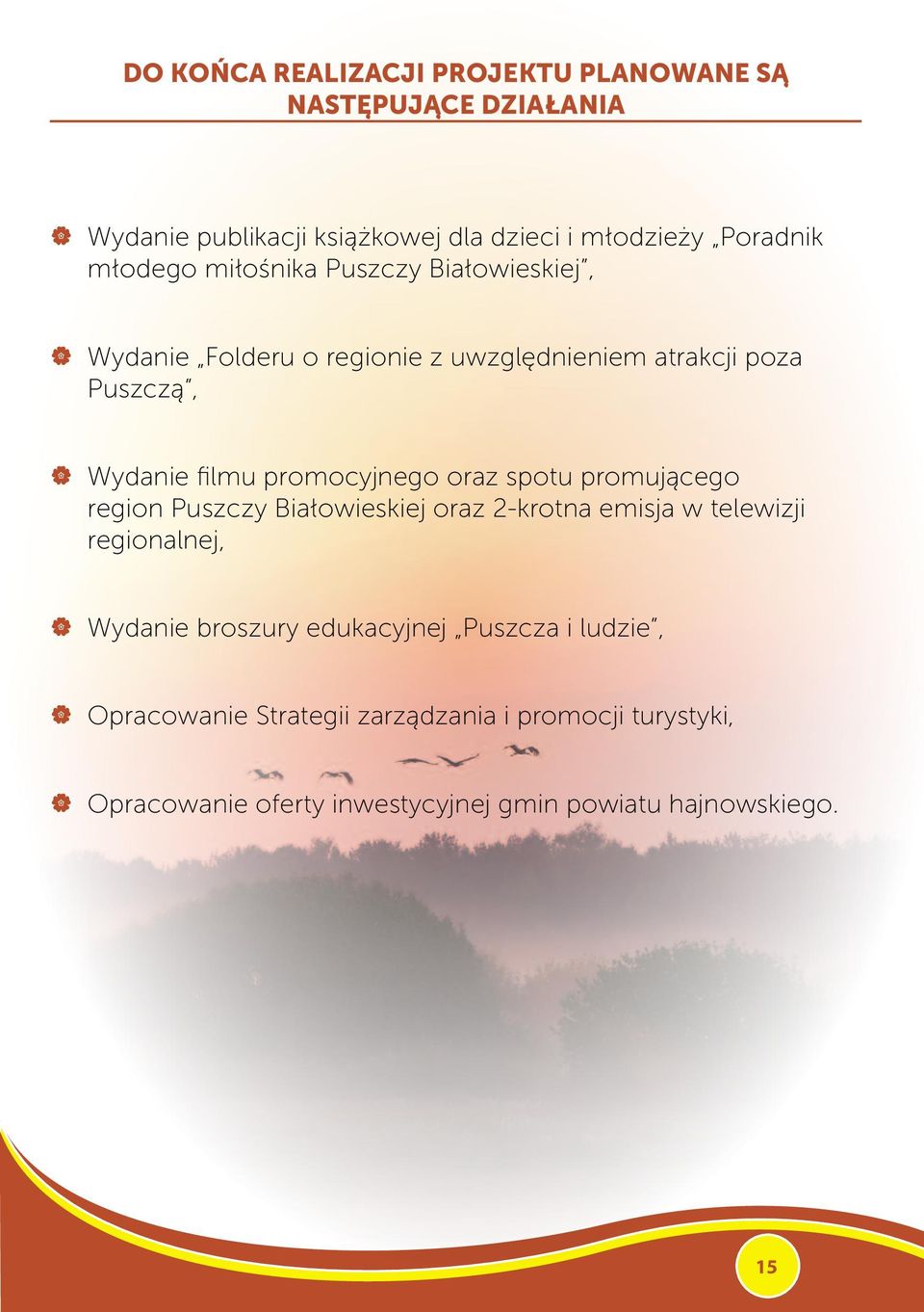 promocyjnego oraz spotu promującego region Puszczy Białowieskiej oraz 2-krotna emisja w telewizji regionalnej, Wydanie broszury