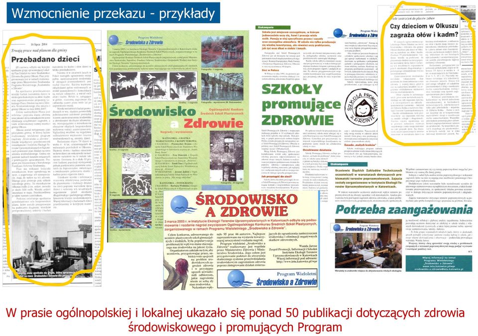 ukazało się ponad 50 publikacji dotyczących