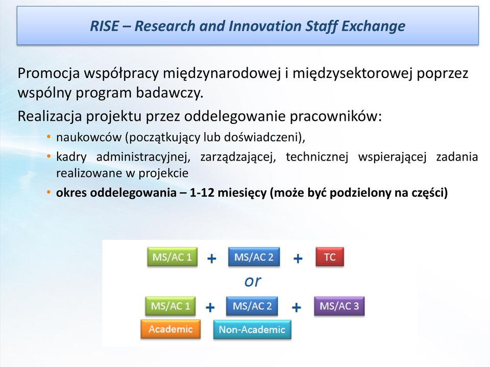 Realizacja projektu przez oddelegowanie pracowników: naukowców (początkujący lub doświadczeni),
