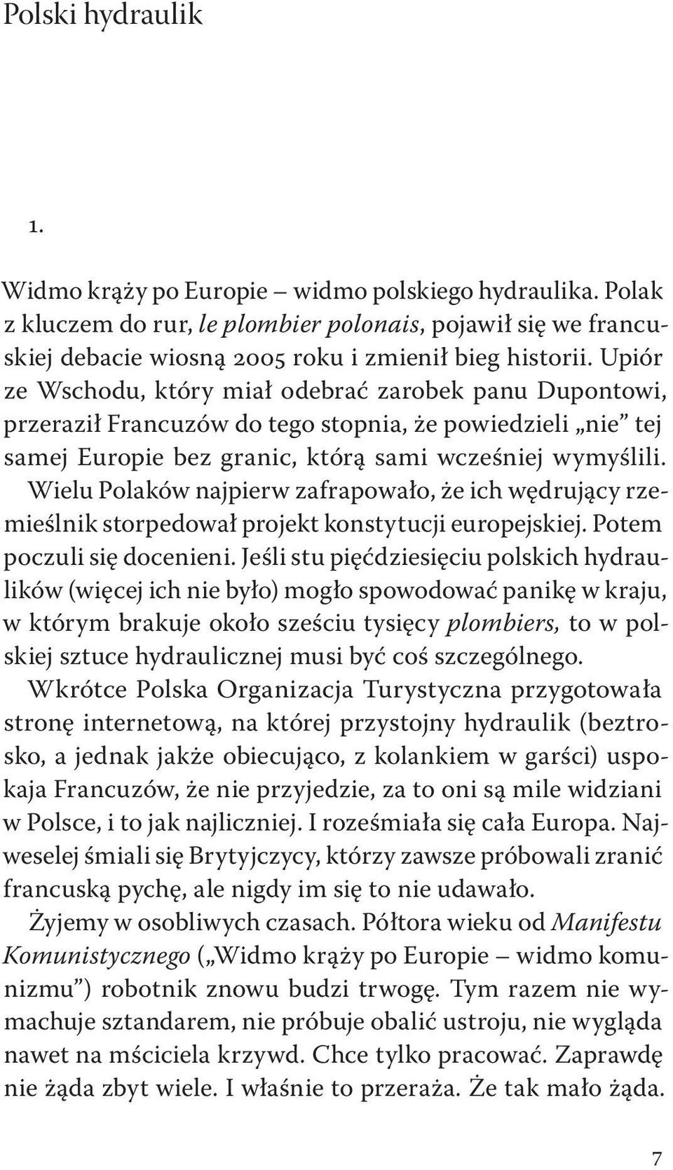 Wielu Polaków najpierw zafrapowało, że ich wędrujący rzemieślnik storpedował projekt konstytucji europejskiej. Potem poczuli się docenieni.