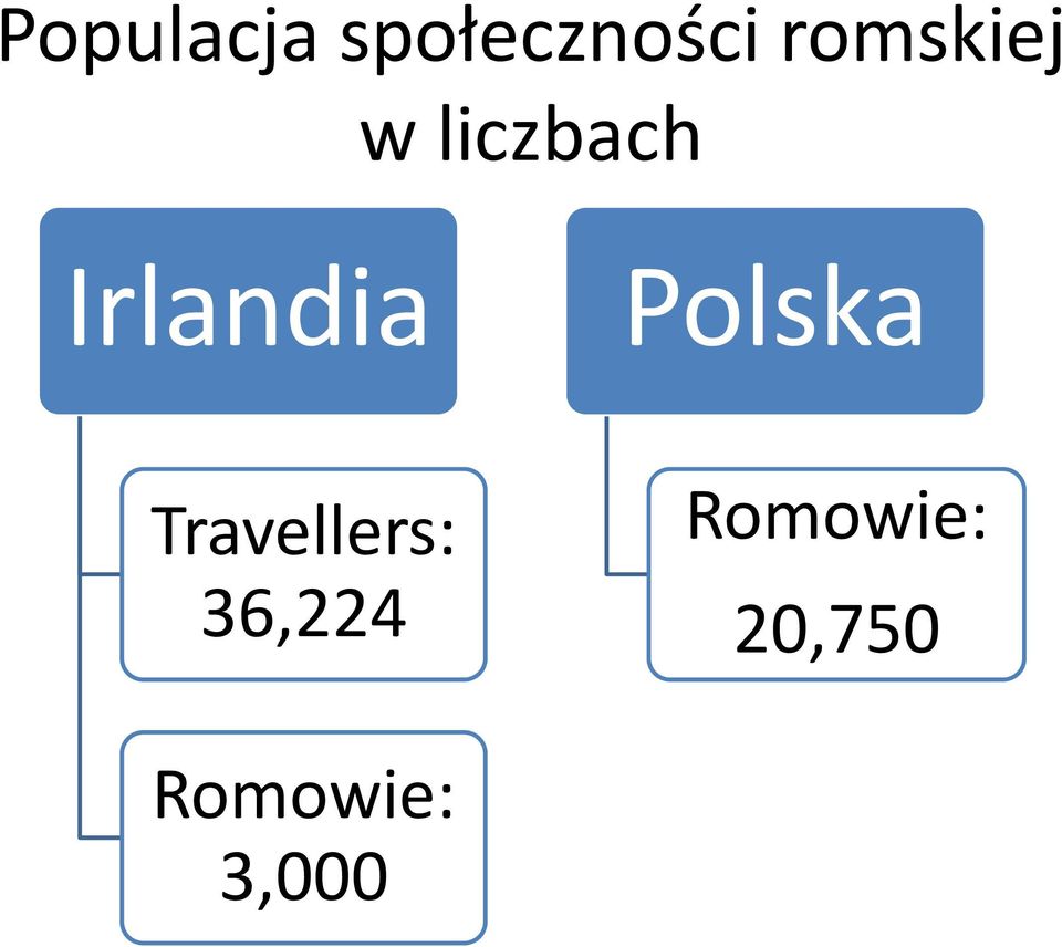 Irlandia Polska