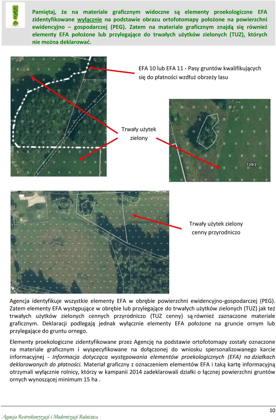 EFA 10 lub EFA 11 - Pasy gruntów kwalifikujących się do płatności wzdłuż obrzeży lasu Trwały użytek zielony Trwały użytek zielony cenny przyrodniczo Agencja identyfikuje wszystkie elementy EFA w