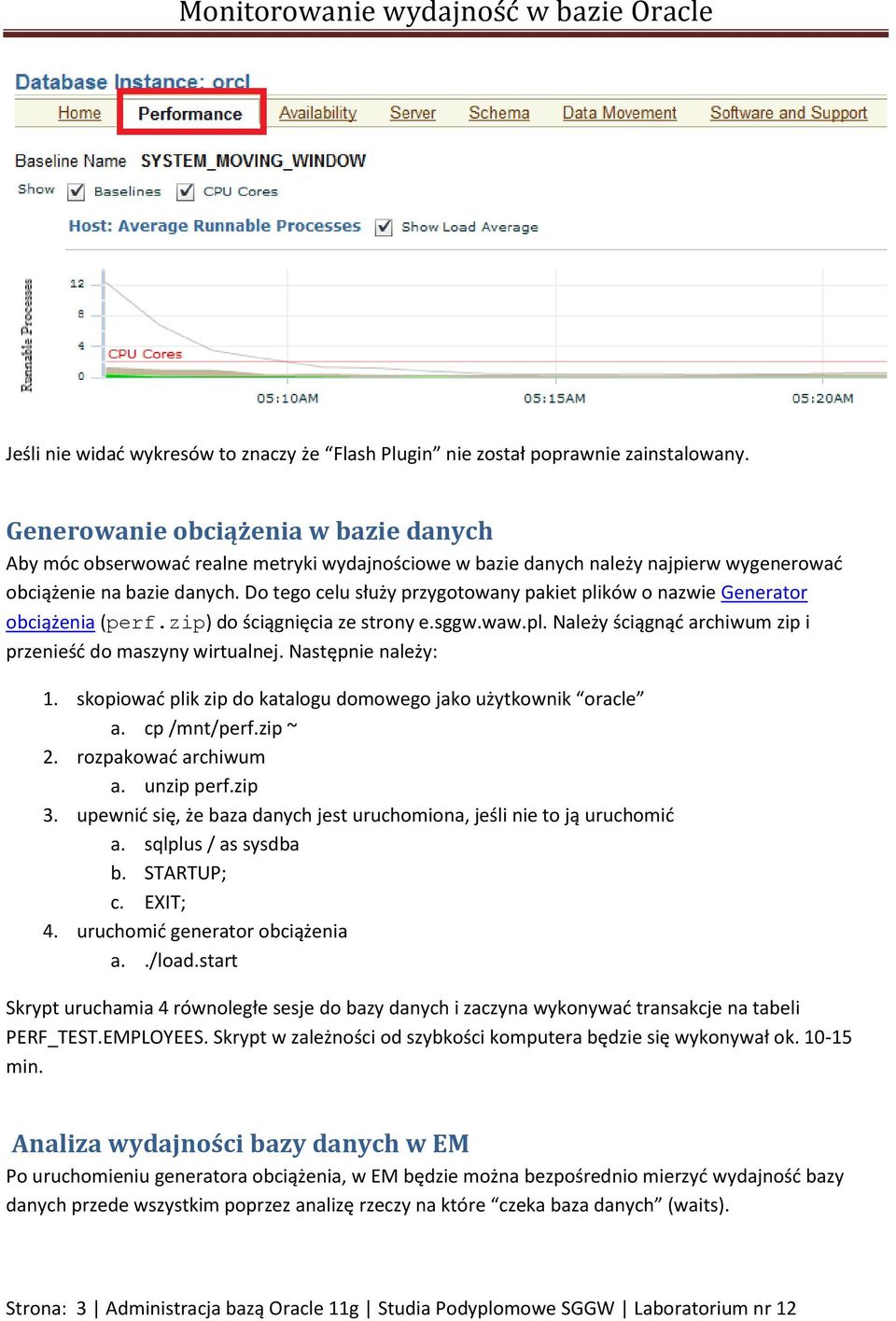 Do tego celu służy przygotowany pakiet plików o nazwie Generator obciążenia (perf.zip) do ściągnięcia ze strony e.sggw.waw.pl. Należy ściągnąć archiwum zip i przenieść do maszyny wirtualnej.