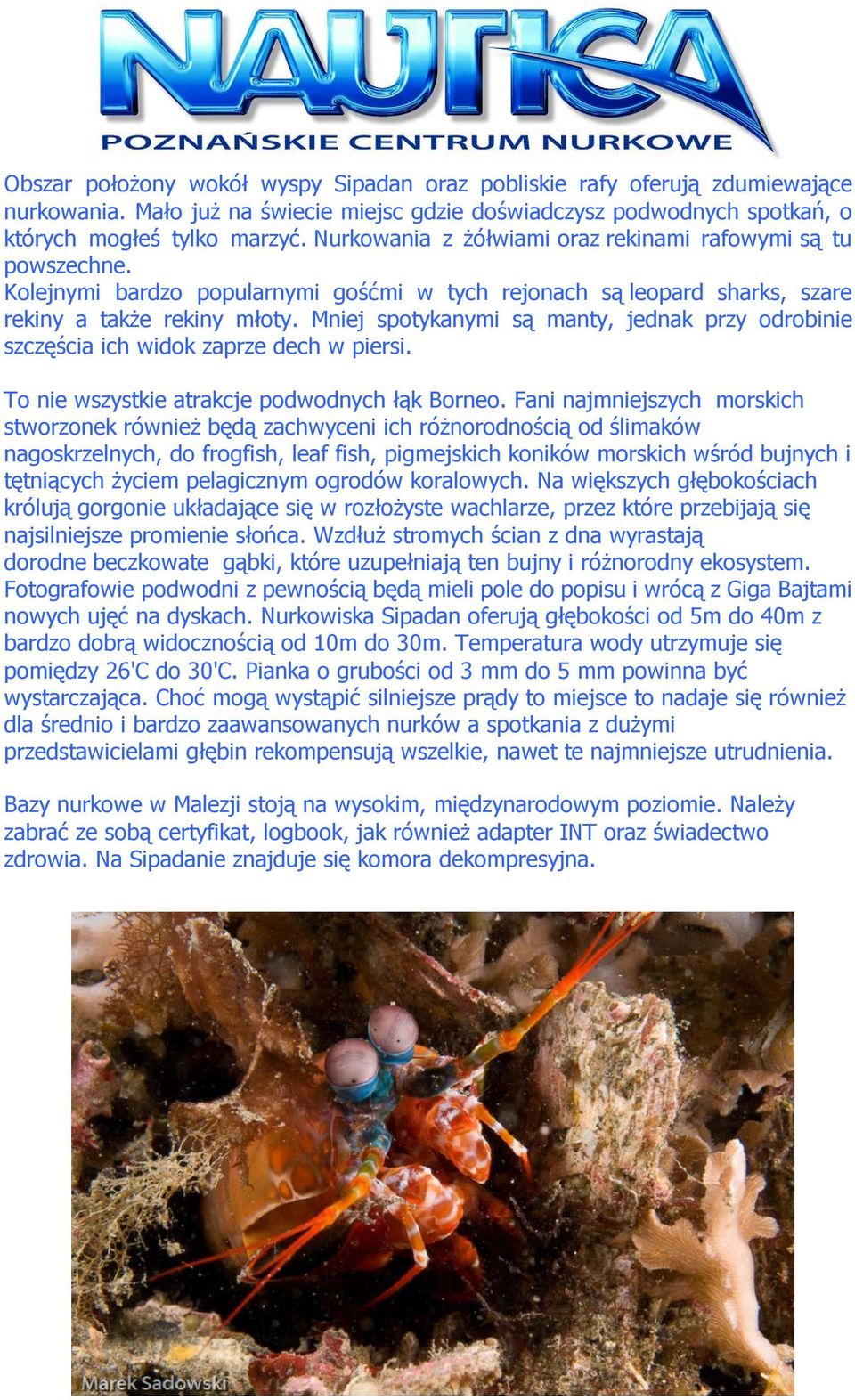 Mniej spotykanymi są manty, jednak przy odrobinie szczęścia ich widok zaprze dech w piersi. To nie wszystkie atrakcje podwodnych łąk Borneo.