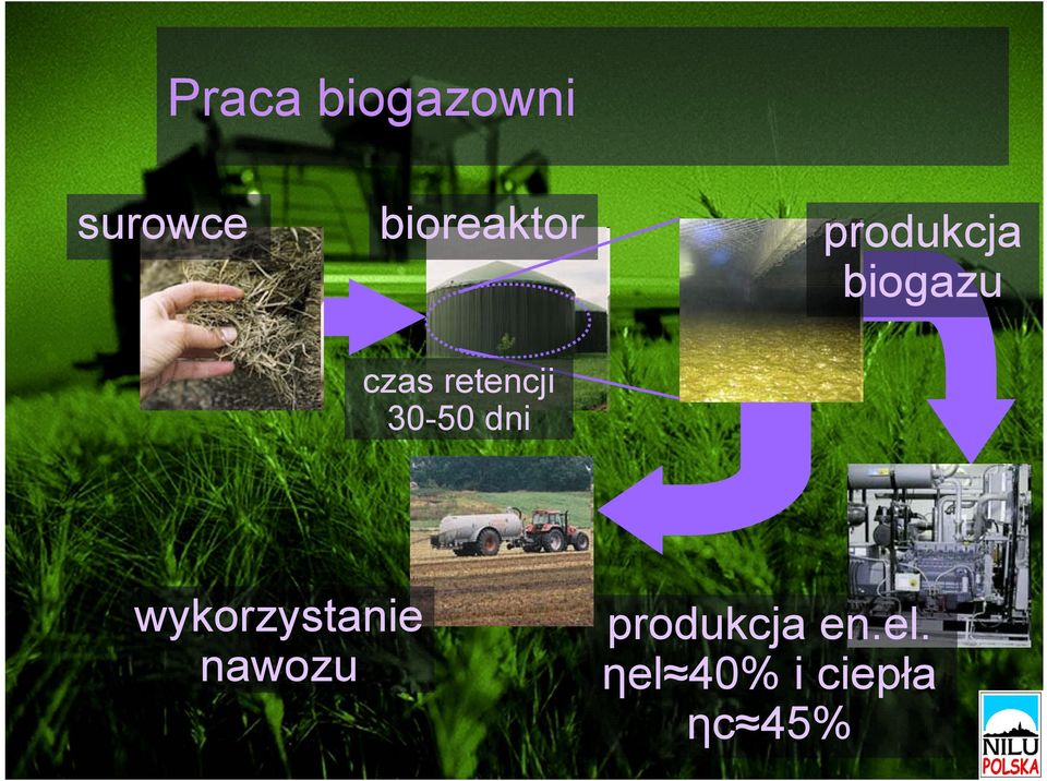 retencji 30-50 dni wykorzystanie