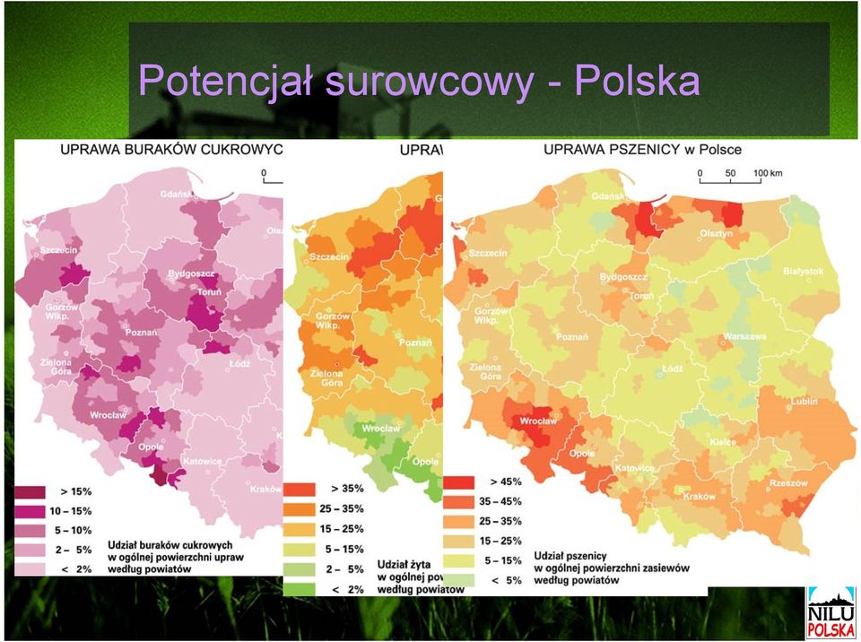 - Polska